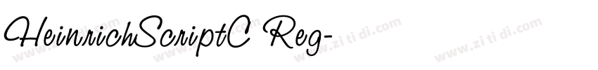 HeinrichScriptC Reg字体转换